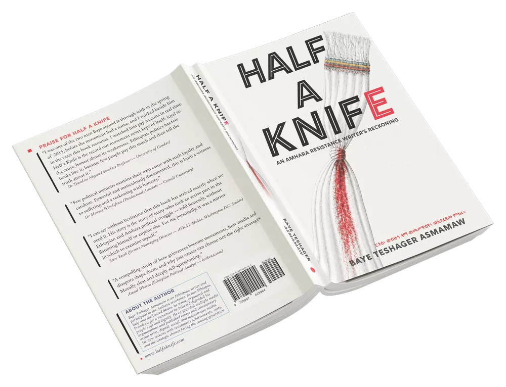 A copy of Half a Knife open flat in a full spread: the back cover&rsquo;s praise page on the left, the front cover with its red-stained fly-whisk on the right.